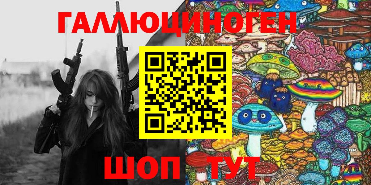 Волхов  Галлюциногенные грибы Cubensis  Вход с VPN 